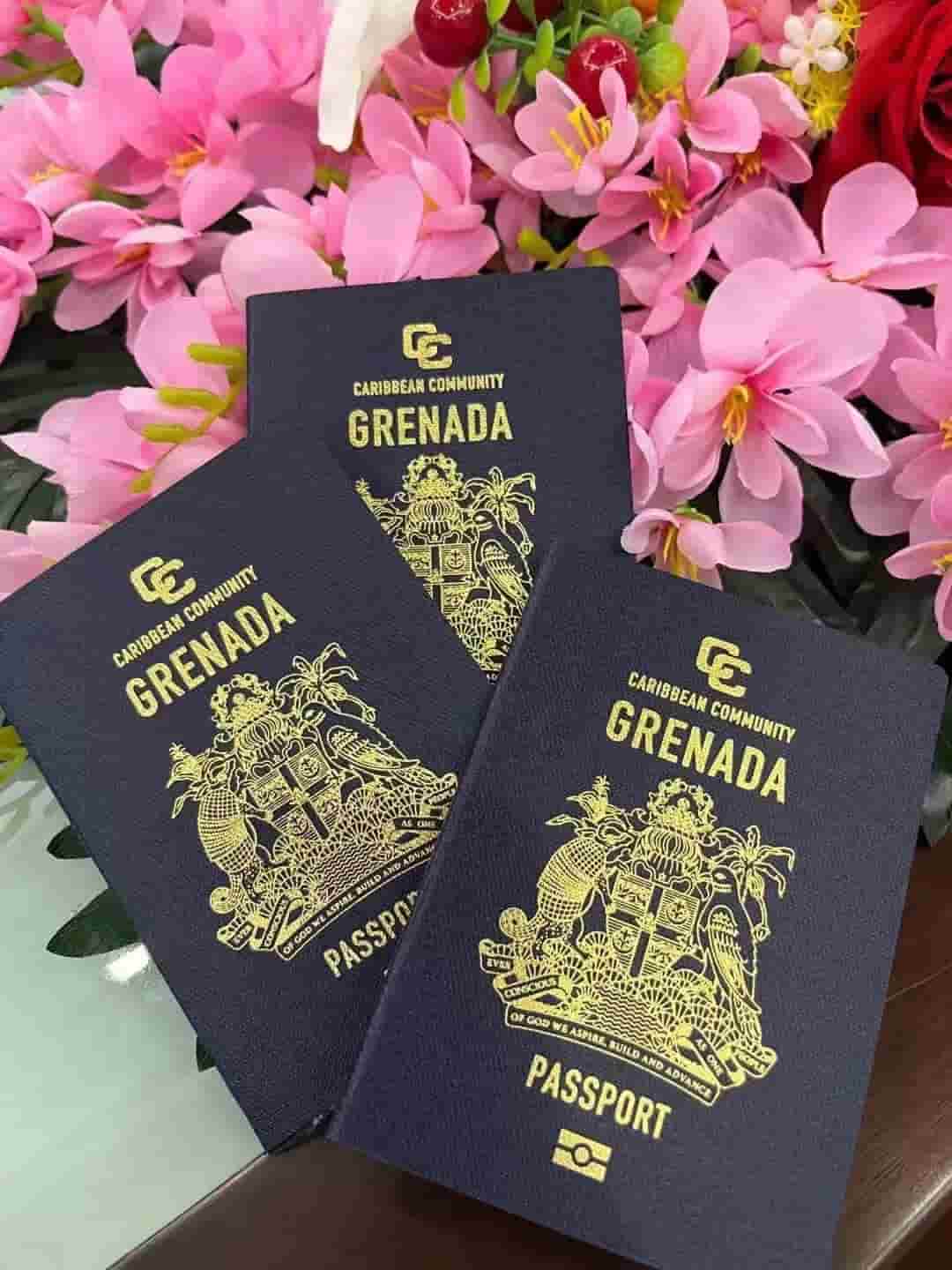 Citizenship service image